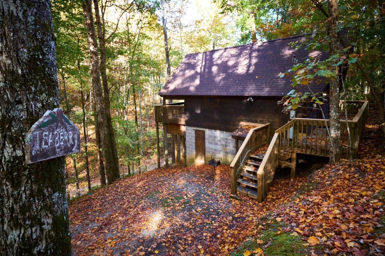 A Cabin In The Woods 鸽子谷 外观 照片