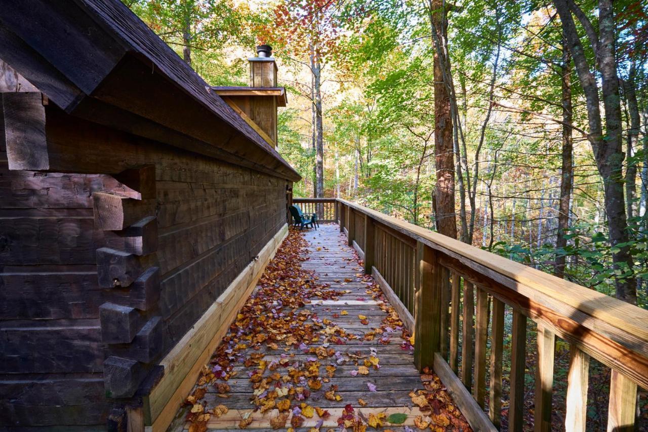 A Cabin In The Woods 鸽子谷 外观 照片