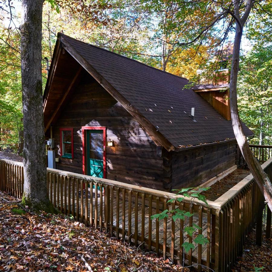 A Cabin In The Woods 鸽子谷 外观 照片
